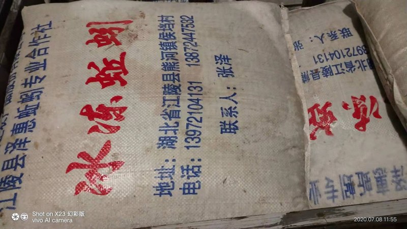 冰冻蚯蚓养殖开口料医药原材料可实地考察