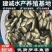 厂家热销罗非鱼苗，广东罗非鱼苗福寿鱼苗海南一号