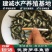 厂家热销罗非鱼苗，广东罗非鱼苗福寿鱼苗海南一号