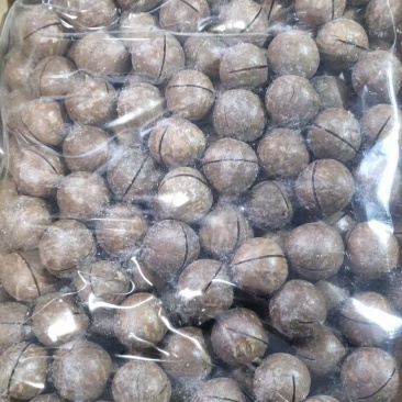 夏威夷果，大小尖，大小圆，大歪