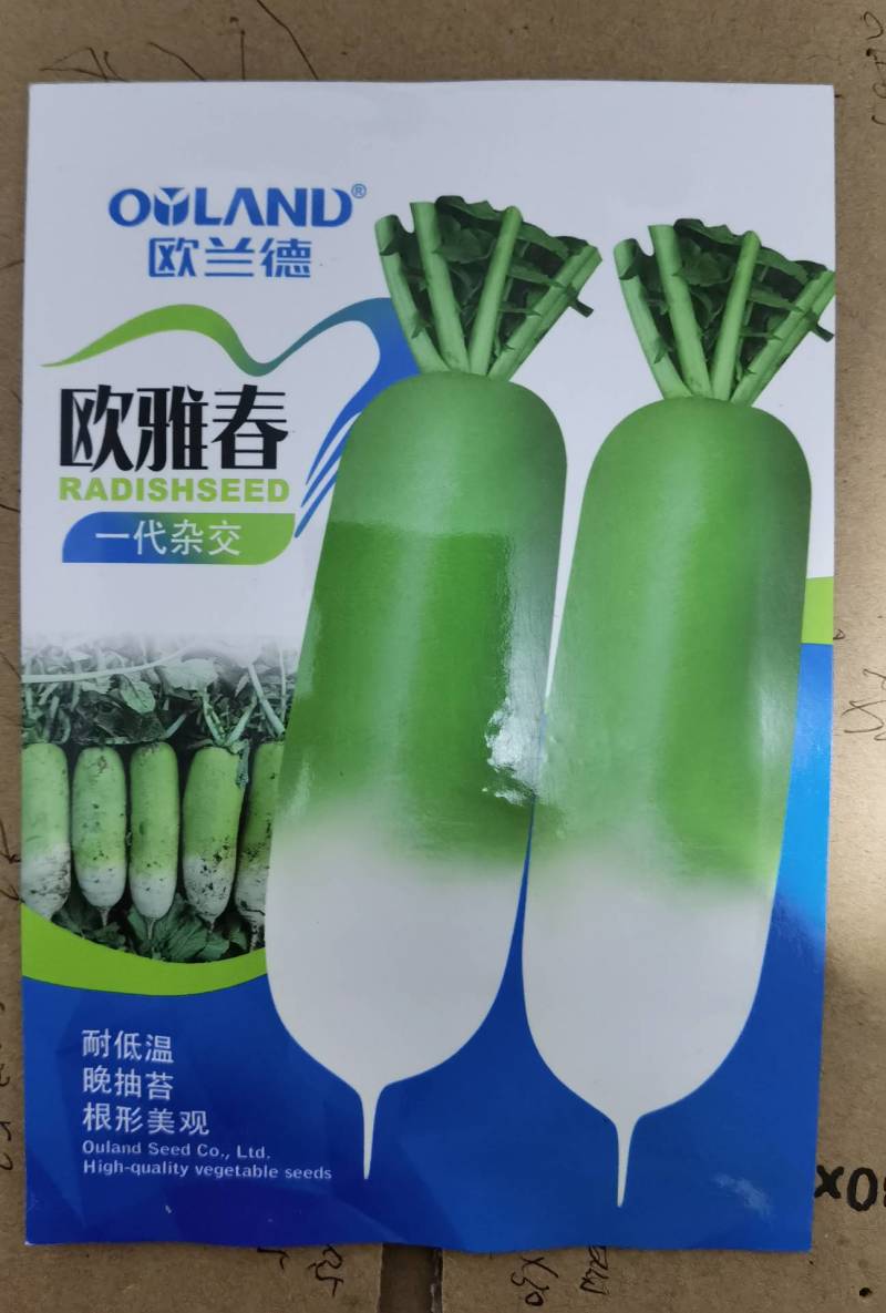 早春萝卜种子欧兰德欧雅春萝卜种子耐寒耐抽苔萝卜种子