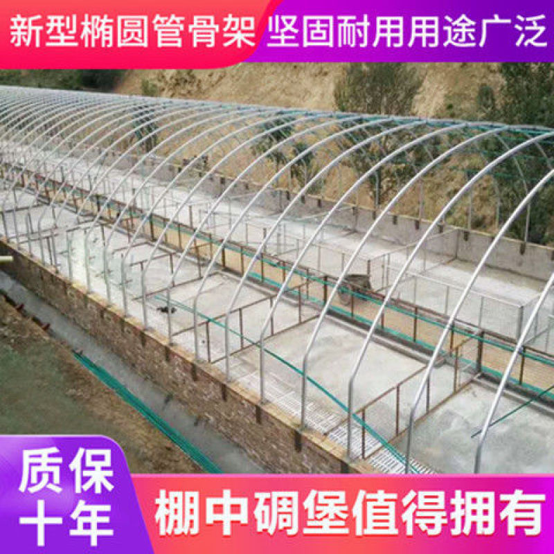 养殖大棚全套温室大棚养鸡养猪养牛养羊大棚钢管椭圆管大棚