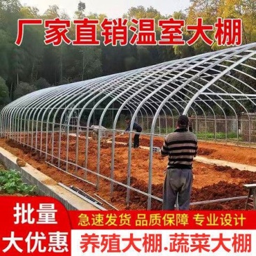 养殖大棚全套温室大棚养鸡养猪养牛养羊大棚钢管椭圆管大棚