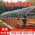 养殖大棚全套温室大棚养鸡养猪养牛养羊大棚钢管椭圆管大棚