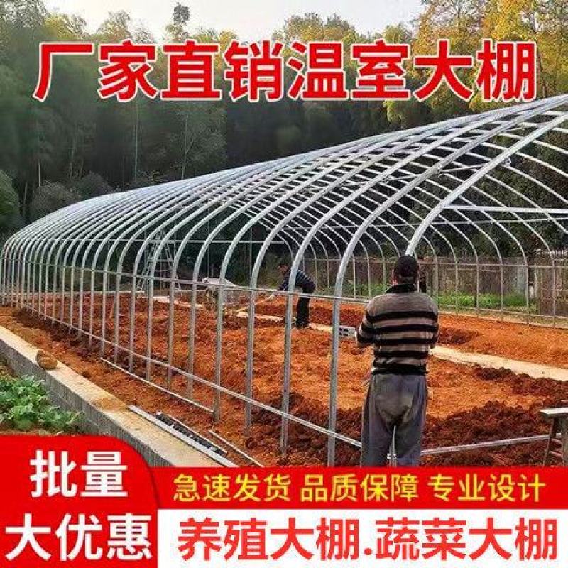 养殖大棚全套温室大棚养鸡养猪养牛养羊大棚钢管椭圆管大棚