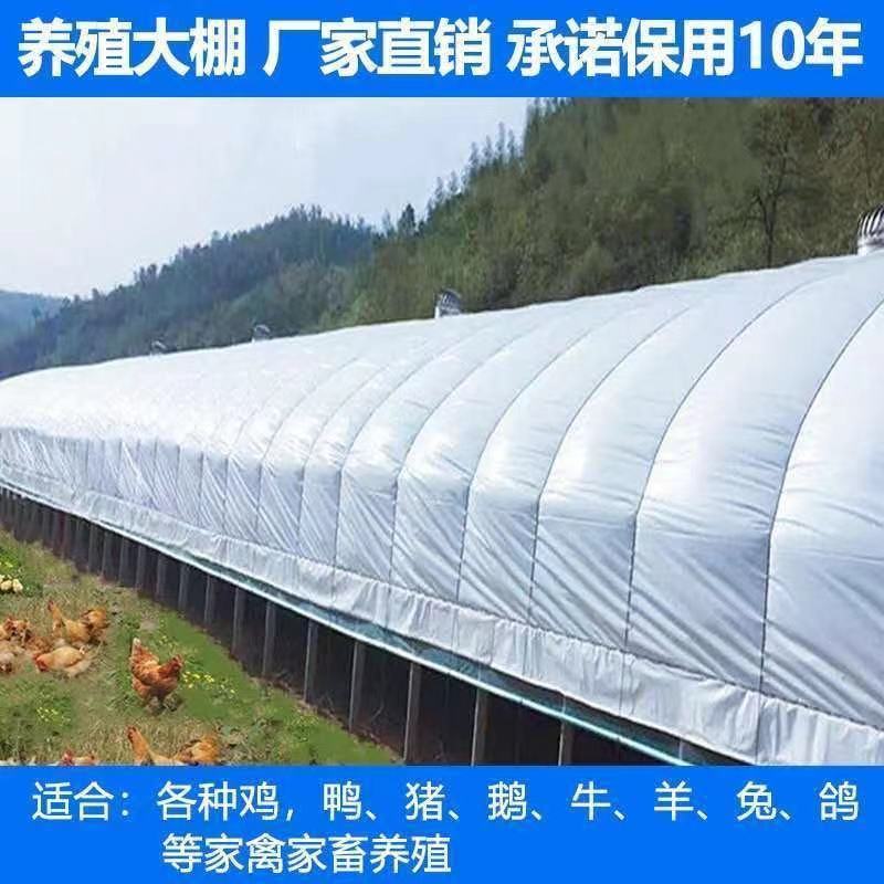 养殖大棚全套温室大棚养鸡养猪养牛养羊大棚钢管椭圆管大棚