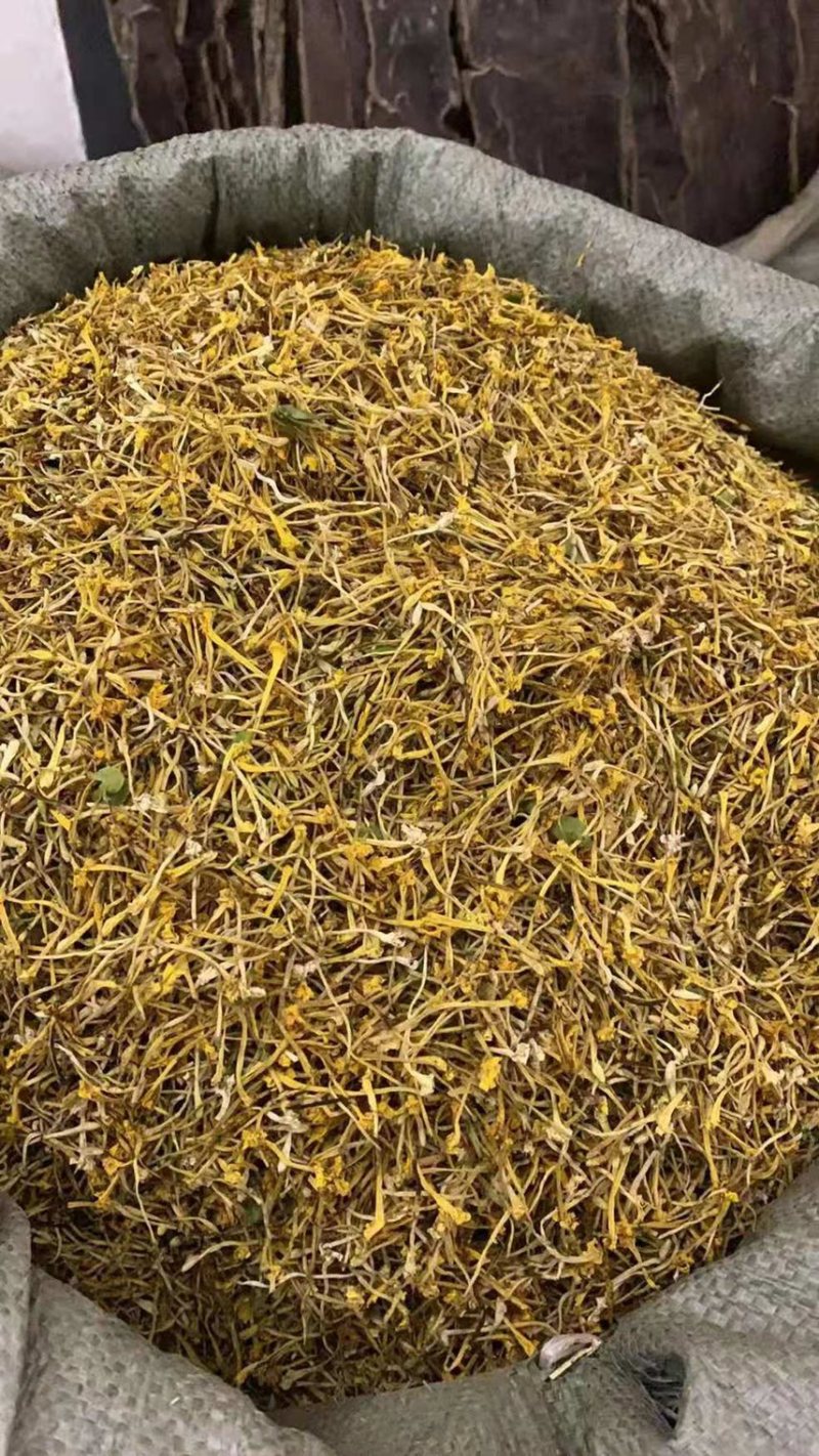 野生金银花需要老板过来看看有现货可以带样品