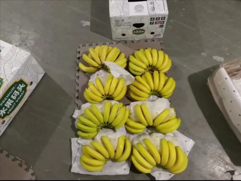 进口菲律宾香焦大量现货口感甜糯无花皮无黑心一手货源