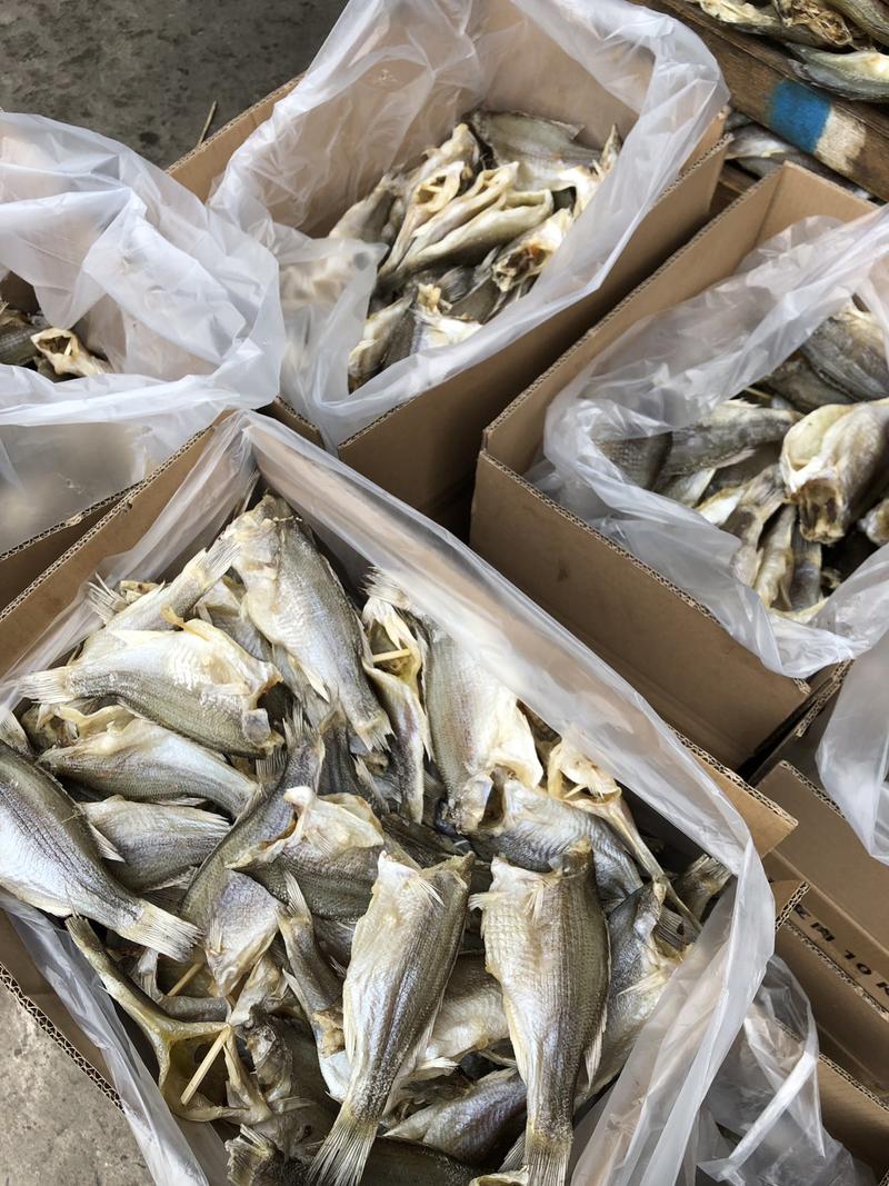 厂家货源去头淡水鱼干卢鱼肉加州鲈鱼干大量上市质量保证
