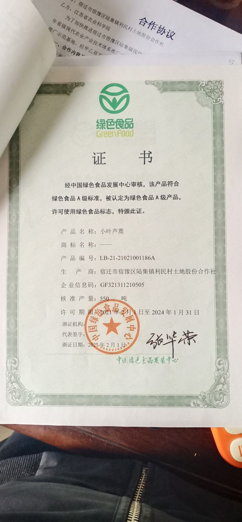 家庭农场一手货源产地直销代购芦蒿黎蒿