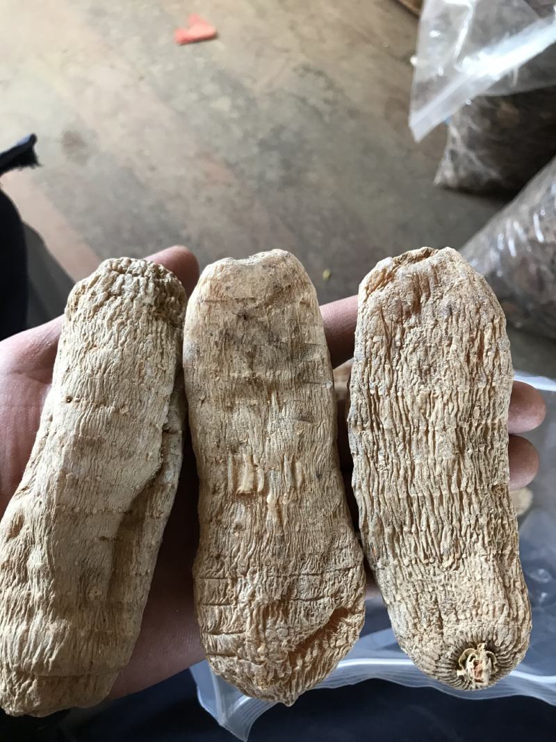 云南昭通非野生乌天麻丽江红天麻特级黑天麻丽江红天麻