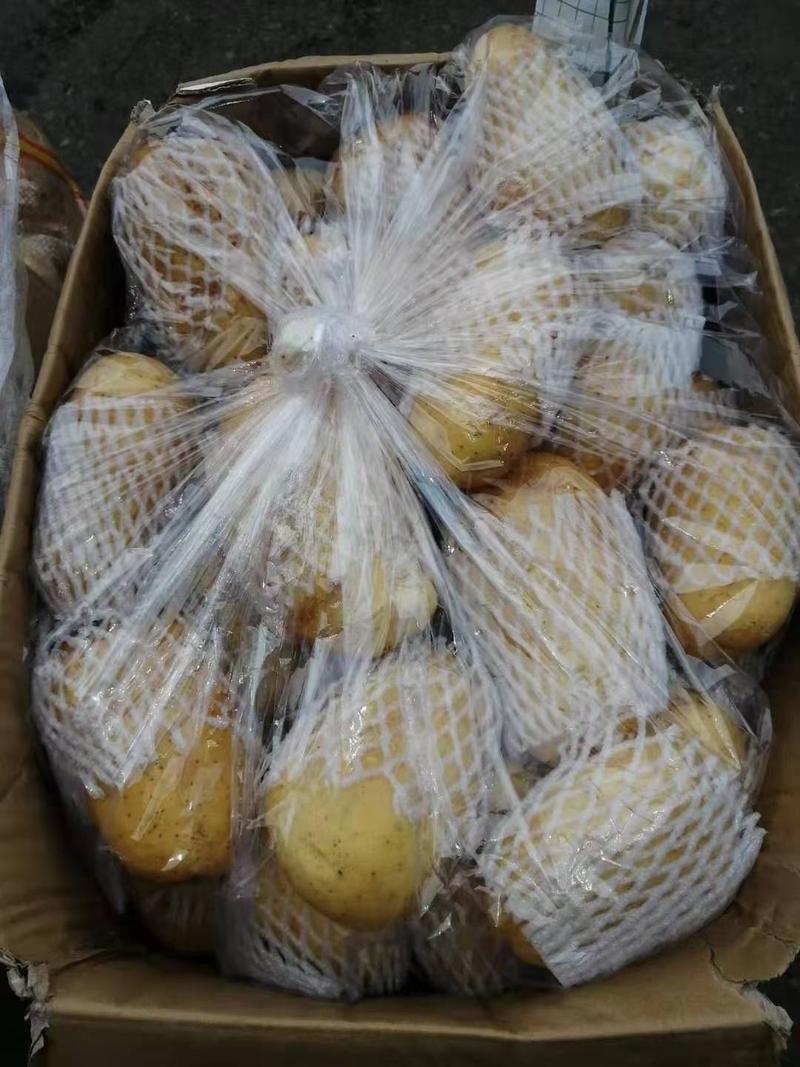 山东沂蒙山荷兰十五土豆大量供应中，价格便宜，质量好，欢迎