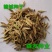 东北抗寒白蜡种籽，白蜡小苗，东北白蜡，抗寒苗木