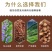 中药材纯丹参粉特级正品紫丹参丹参茶正品500克包邮