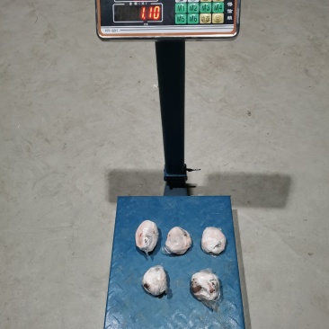 原油羊腰子原油羊内腰一斤称4.5个标准个头量大优惠