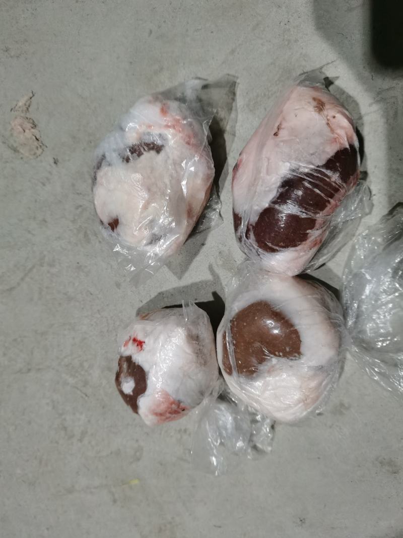 原油羊腰子原油羊内腰一斤称4.5个标准个头量大优惠