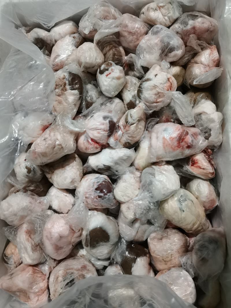原油羊腰子原油羊内腰一斤称4.5个标准个头量大优惠