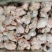 原油羊腰子原油羊内腰一斤称4.5个标准个头量大优惠
