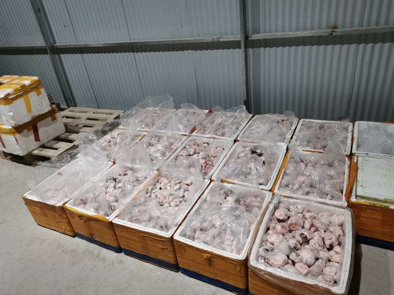 原油羊腰子原油羊内腰一斤称4.5个标准个头量大优惠