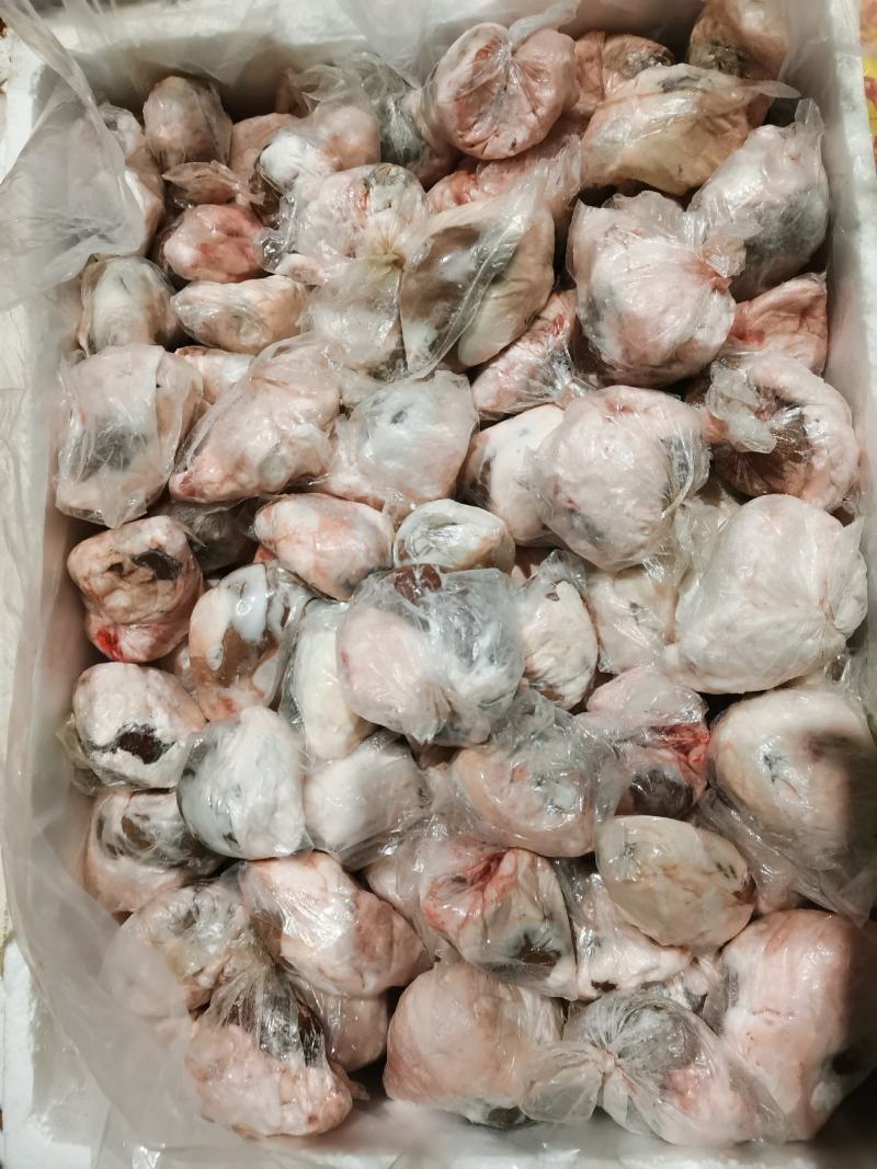 原油羊腰子原油羊内腰一斤称4.5个标准个头量大优惠
