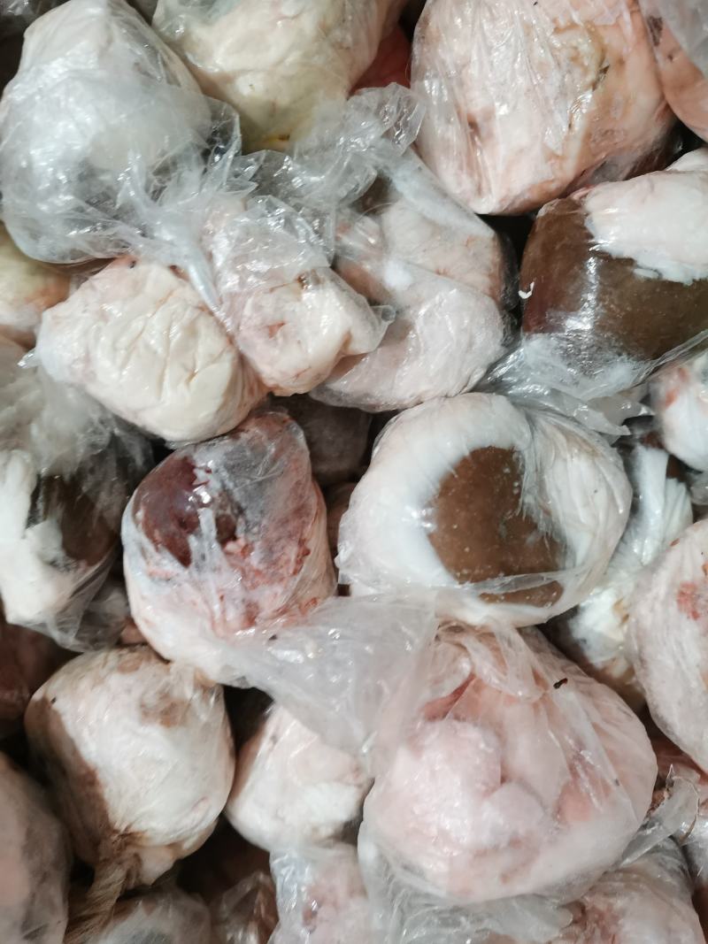 原油羊腰子原油羊内腰一斤称4.5个标准个头量大优惠