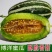 山东正宗头茬博洋9号甜瓜香脆瓜爽口瓜
