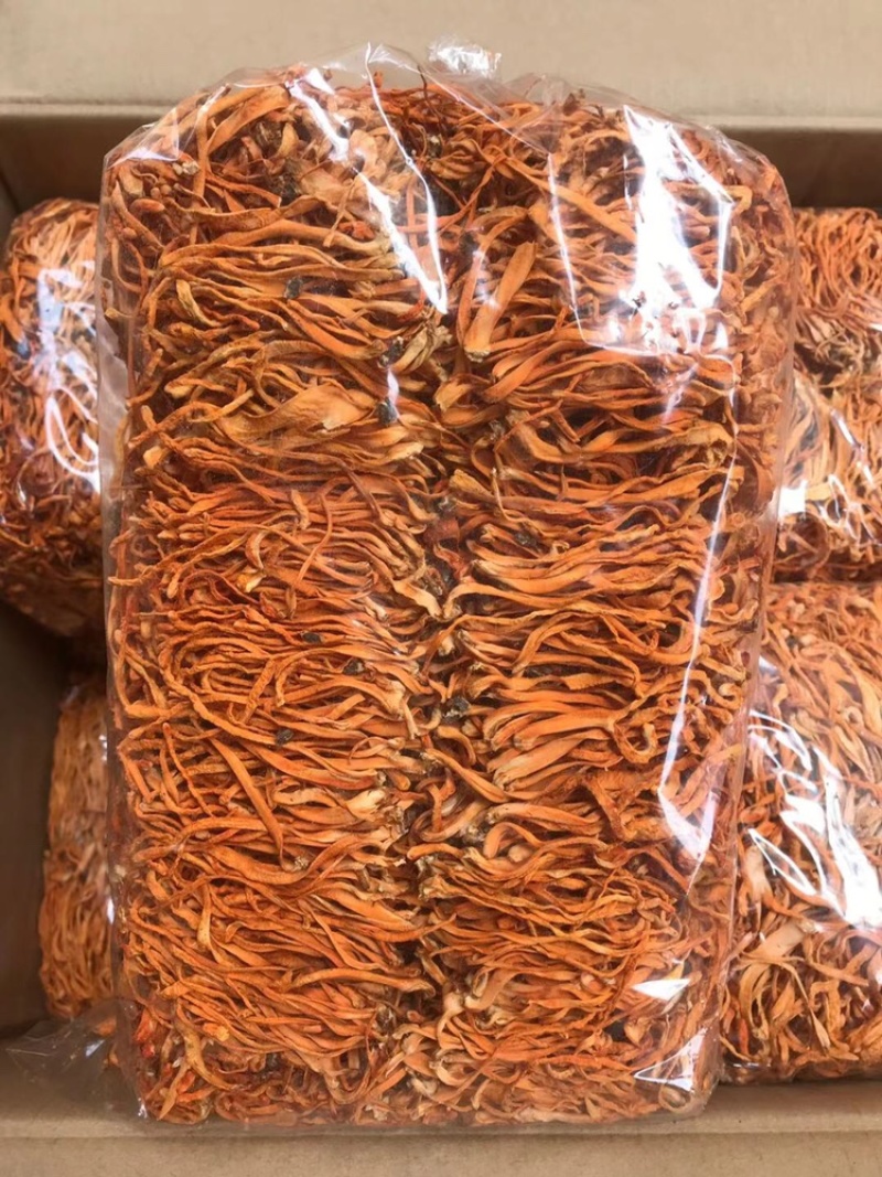 虫草花干货无硫新货500克包邮精排草孢子头产地批发