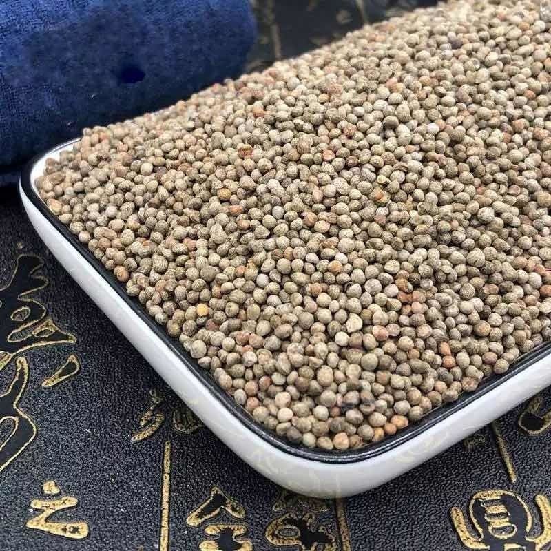 紫苏子正品药用非油苏子干净无杂实拍