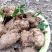 药、食同用纯野生四叶参