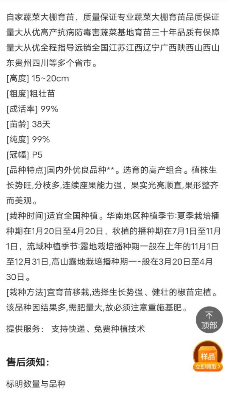 【精品苗】茄子苗线茄子苗杭茄苗烧烤茄子苗紫红线茄子