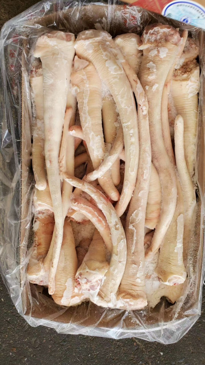 猪尾巴，长尾，质量保证，一手货源