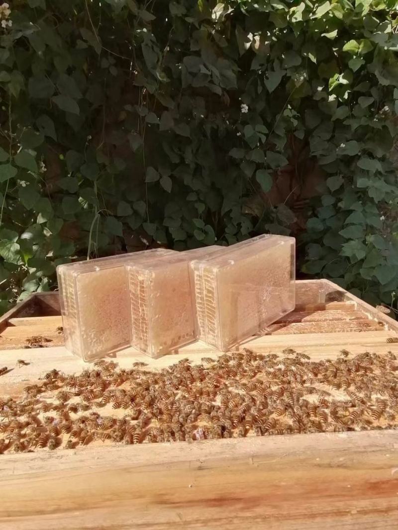 蜂巢蜜甘甜爽口蜜味香浓一件90斤价格美丽
