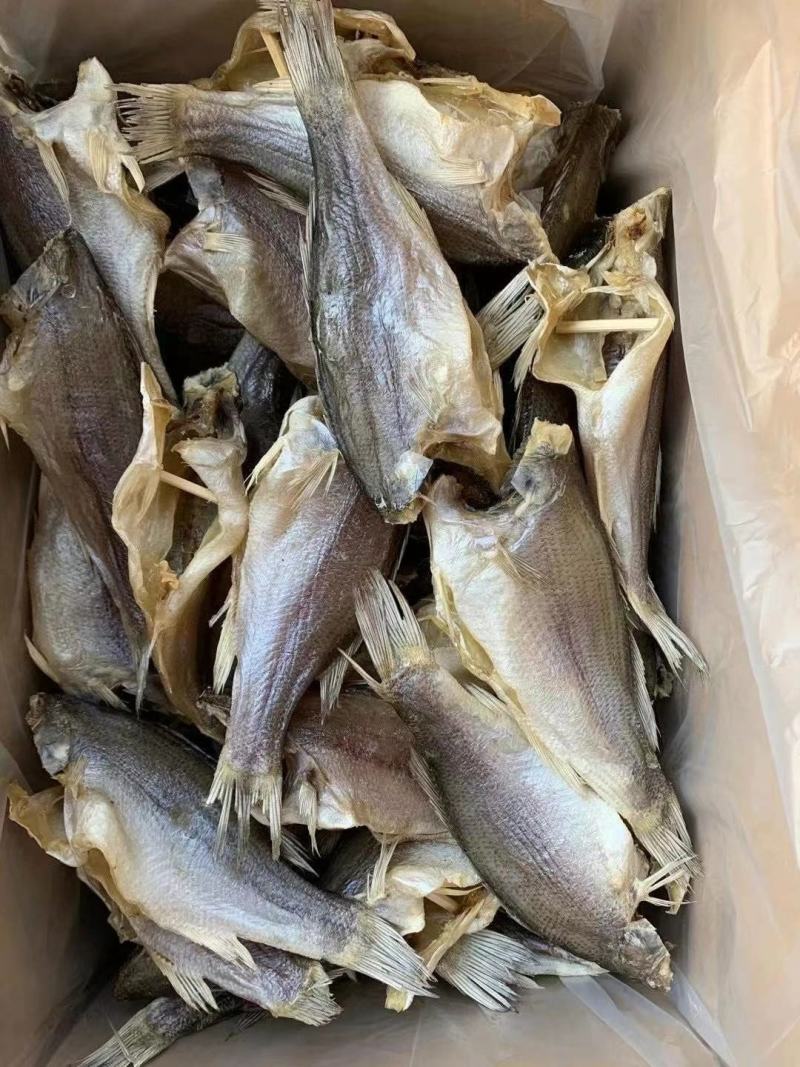 淡水鲈鱼干三去鲈鱼干海鲈鱼干大中小各规格都有