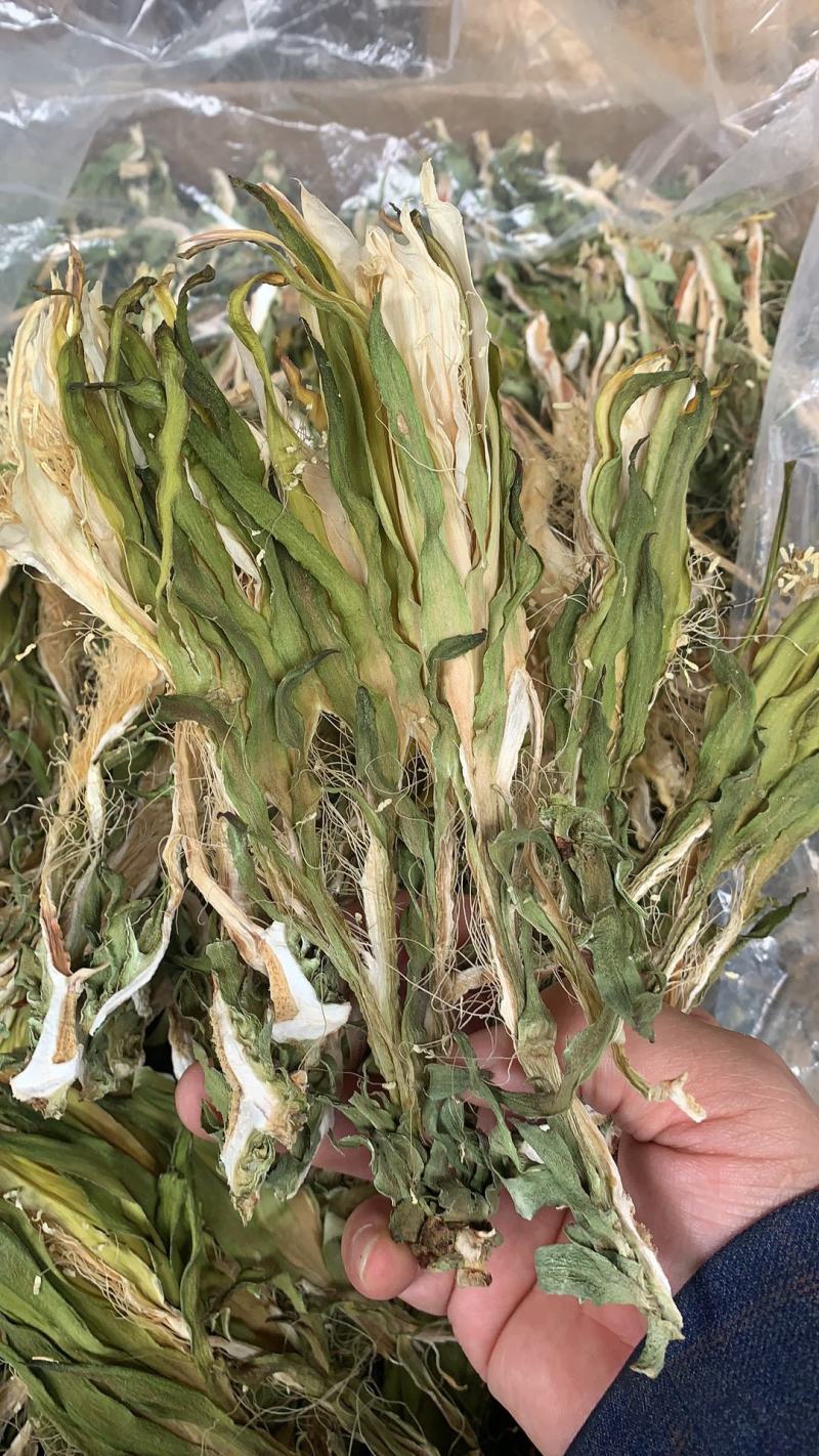 霸王花，干度好，颜色好，一件20斤，质量保证，价格便宜！