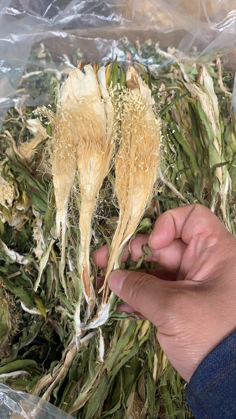 霸王花，干度好，颜色好，一件20斤，质量保证，价格便宜！