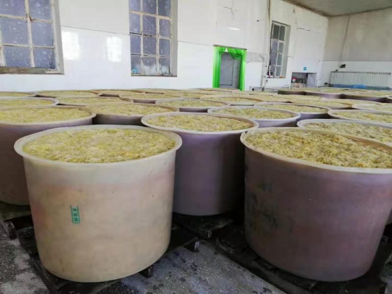 重庆塑料厂家大发酵桶批发全新牛筋料加厚水桶耐磨扛摔