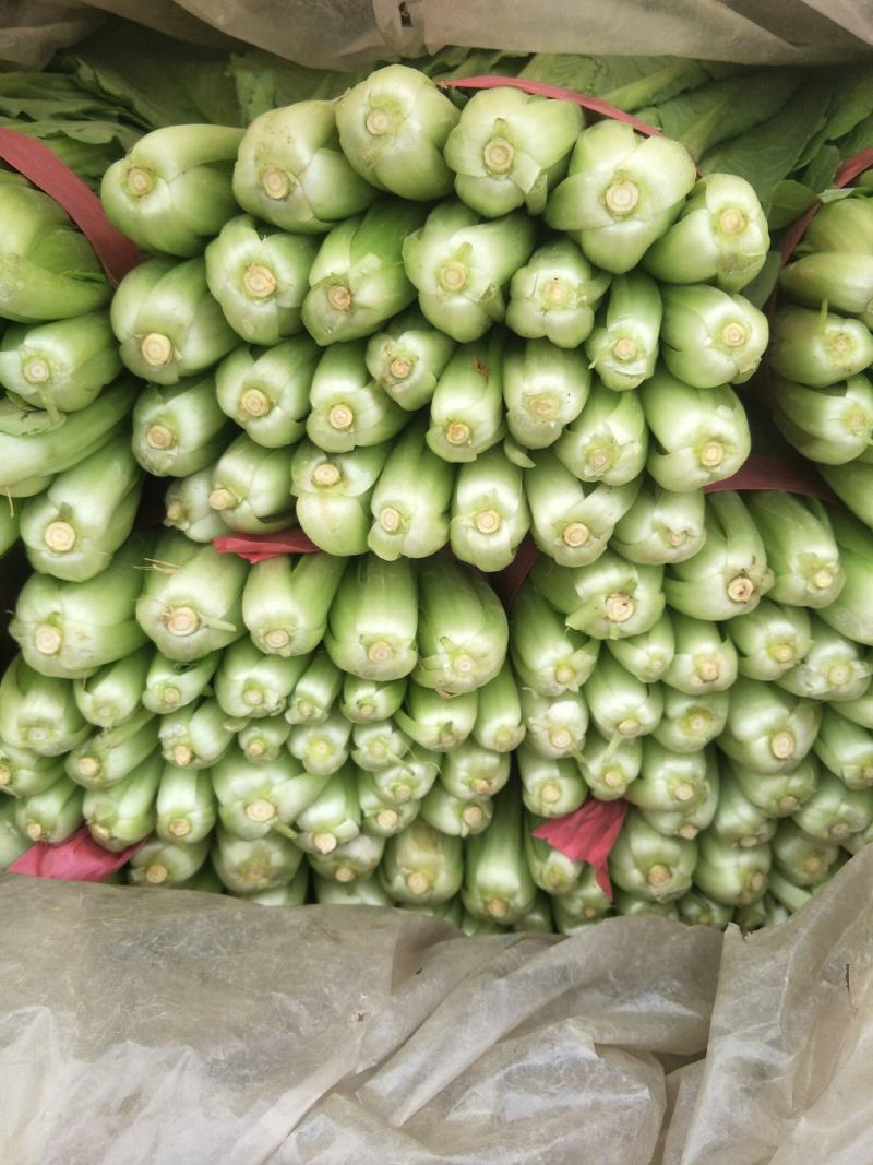 精品小白菜大量上市中，有要的抓紧联系了。