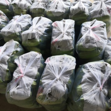 小南瓜精品货保质保量