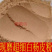 正品中药材白杨皮白杨皮粉白杨树皮磨白杨皮粉散装
