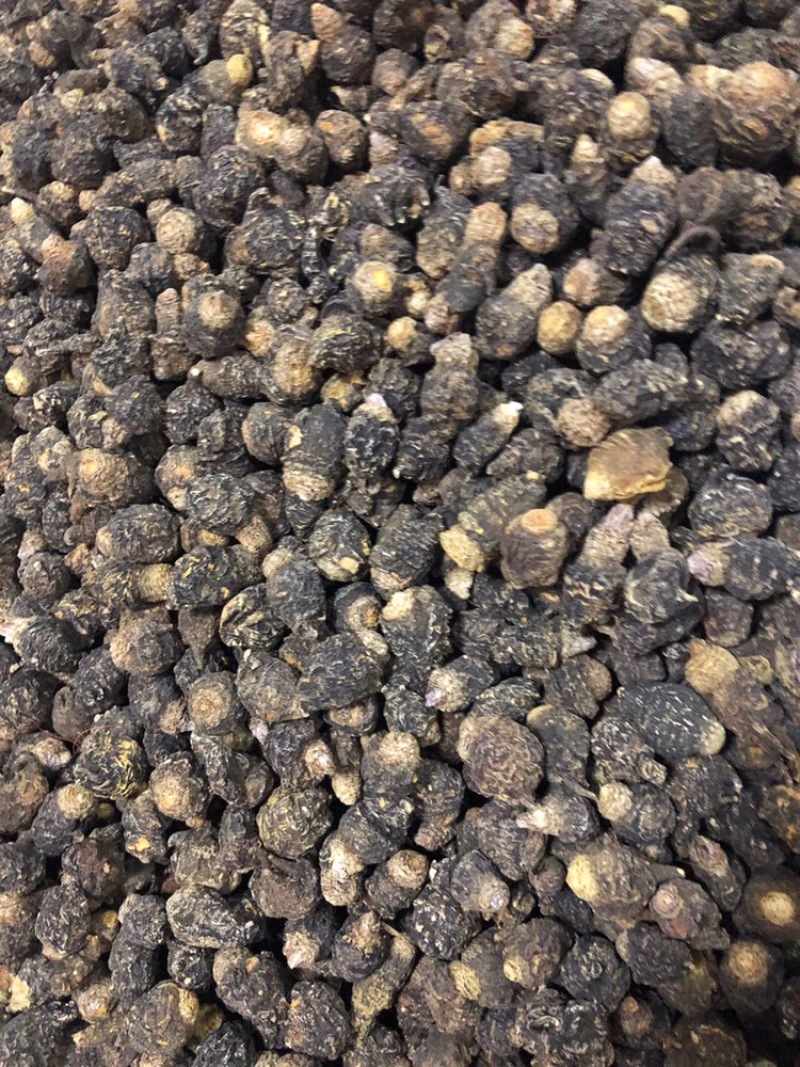 产地直发丽江黑玛咖玛卡干果干片人工挑选免费帮忙磨粉1斤起