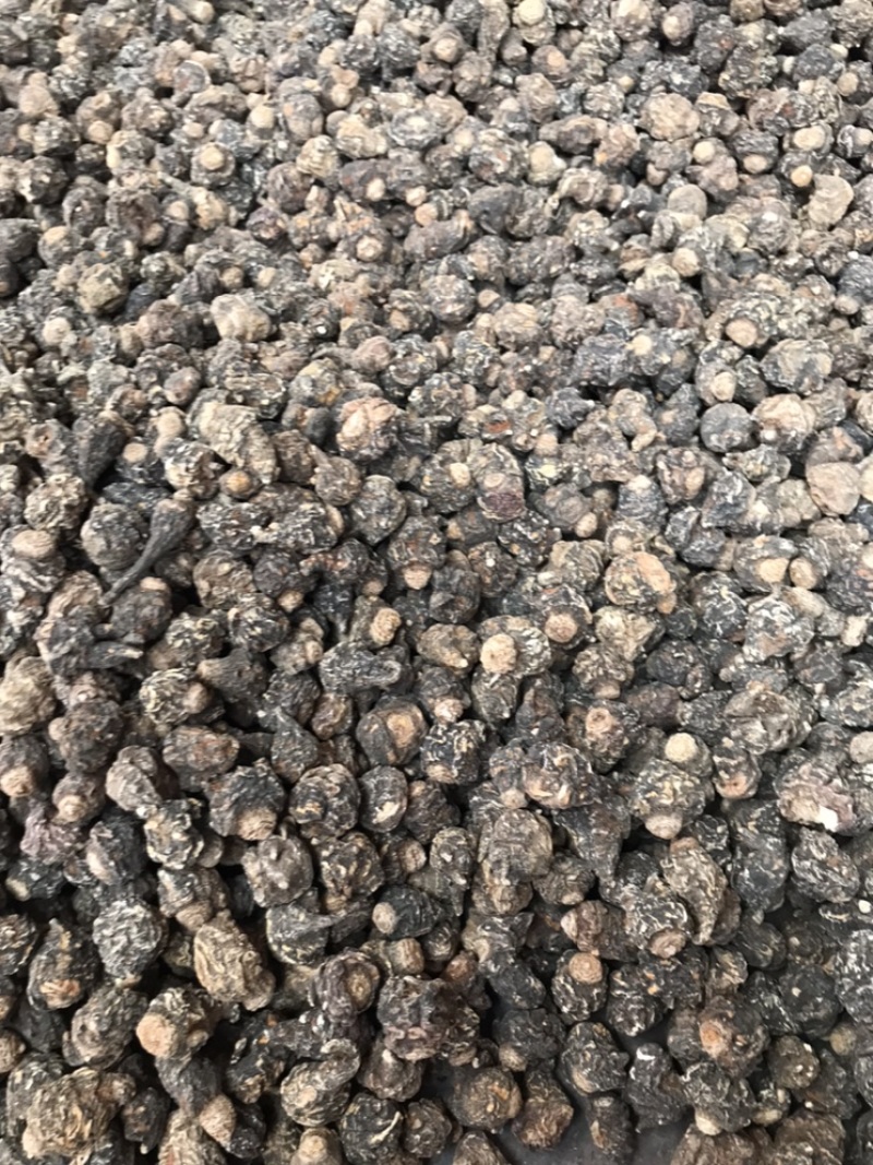 产地直发丽江黑玛咖玛卡干果干片人工挑选免费帮忙磨粉1斤起
