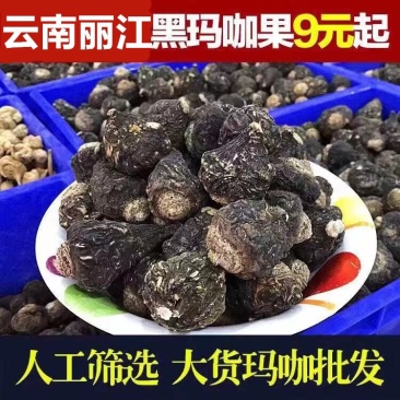 产地直发丽江黑玛咖玛卡干果干片人工挑选免费帮忙磨粉1斤起