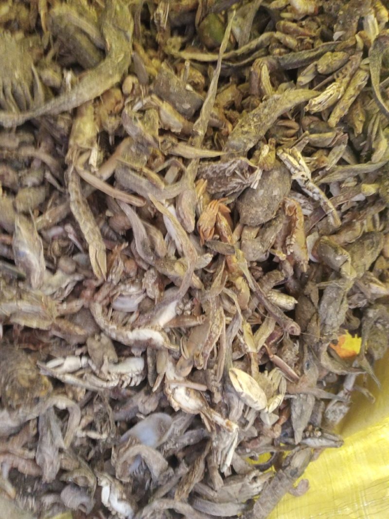 饲料用小杂鱼皮皮虾螃蟹鱼干鱼粉质优价廉