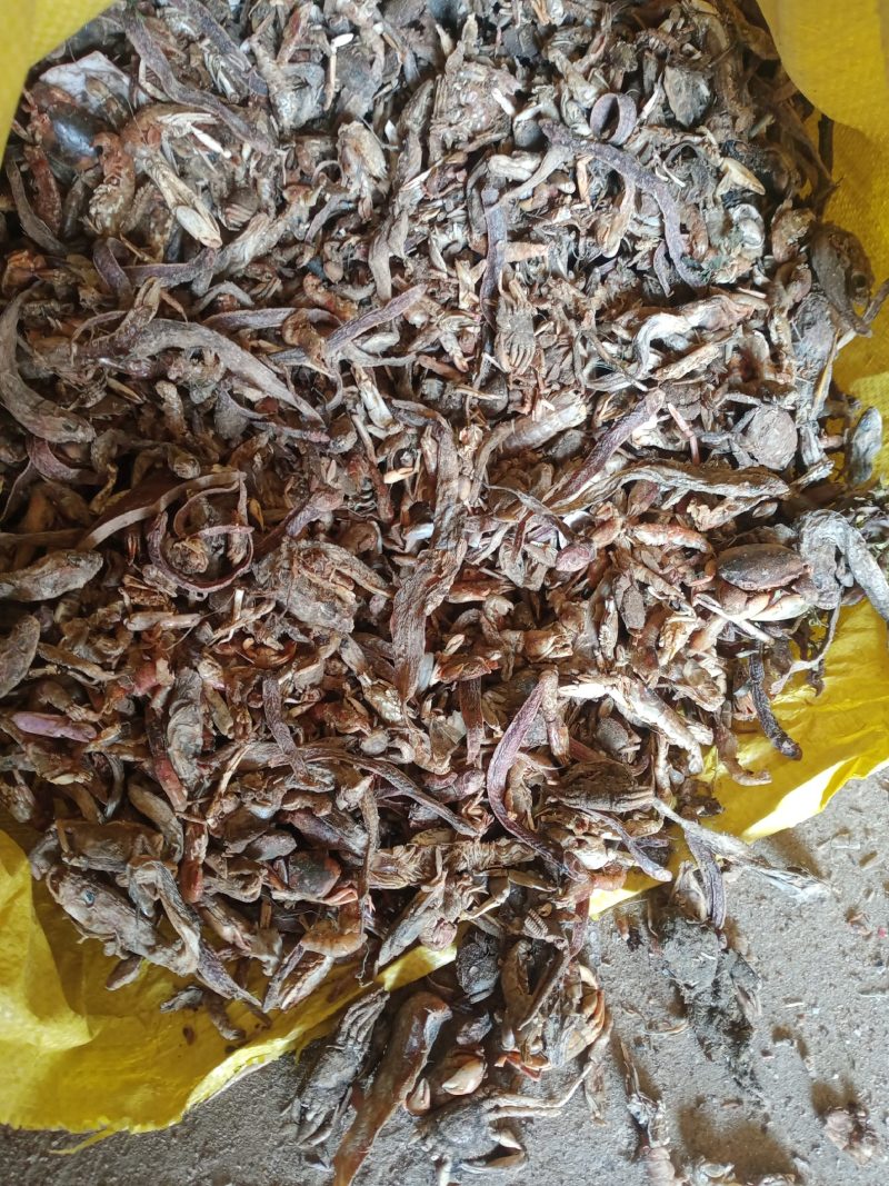 饲料用小杂鱼皮皮虾螃蟹鱼干鱼粉质优价廉