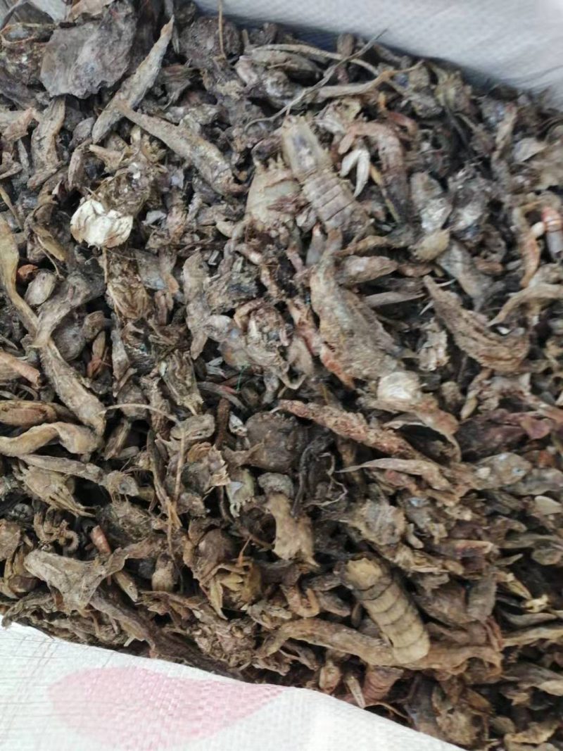 优质鱼干小杂鱼饲料鱼自然晾干质美价廉