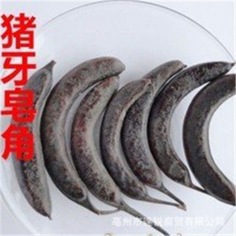 超细现磨中药材猪牙皂粉粉正宗皂角野生皂角粉小皂荚