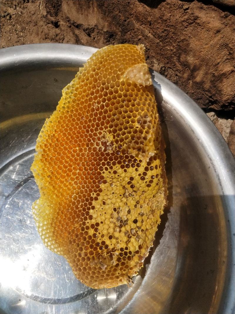 2021年云南凤庆县雪山镇永顺金竹林野生蜂蜜