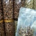 带皮紫皮盐熏腰果大腰果500G罐装袋装支持一件代发