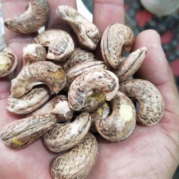 带皮紫皮盐熏腰果大腰果500G罐装袋装支持一件代发