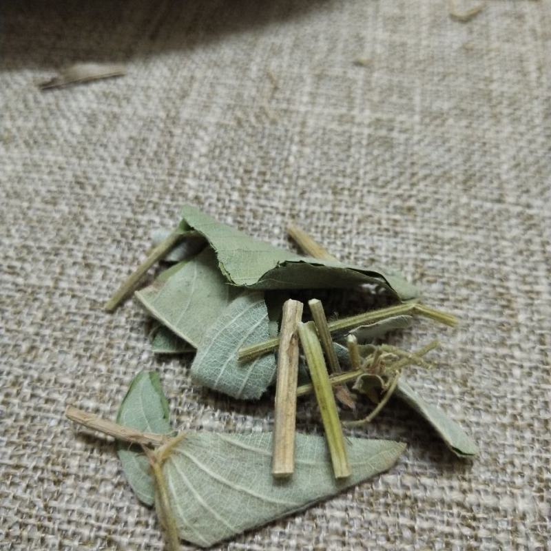 广西野生金钱草中药材干货当天发货质量保证